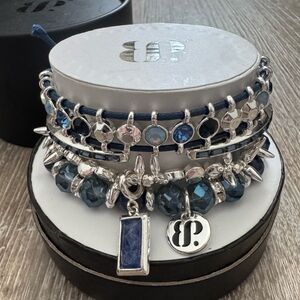 Bomb Party 2024 Summer Stack, Ocean Eyes, Genuine Sodalite, Silver Plati…